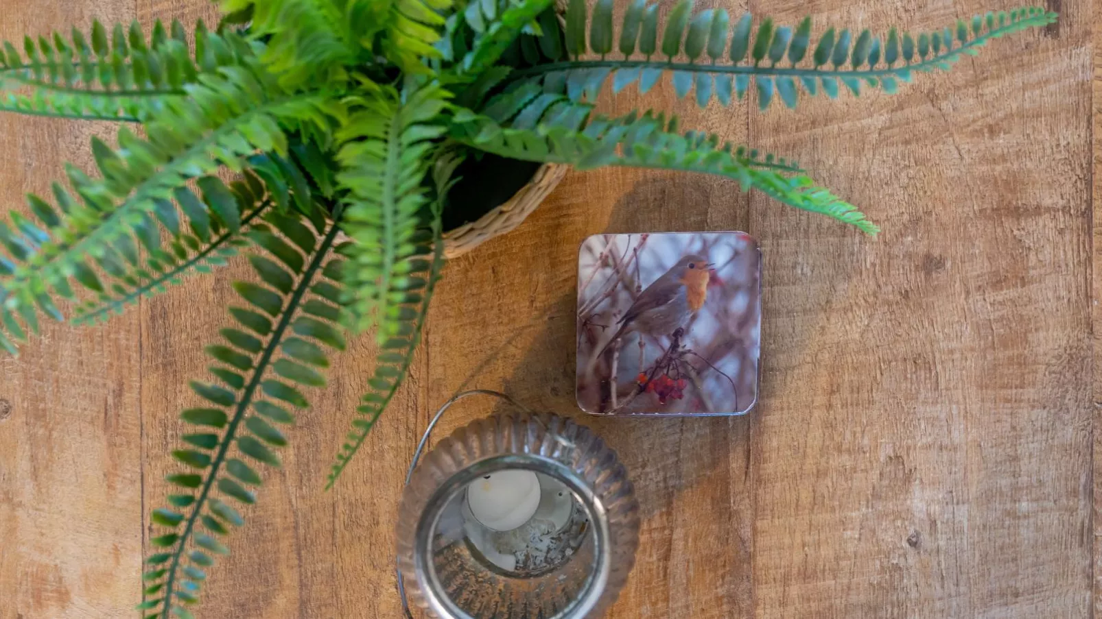 Tiny house Pimpelmees-Atmosphere
