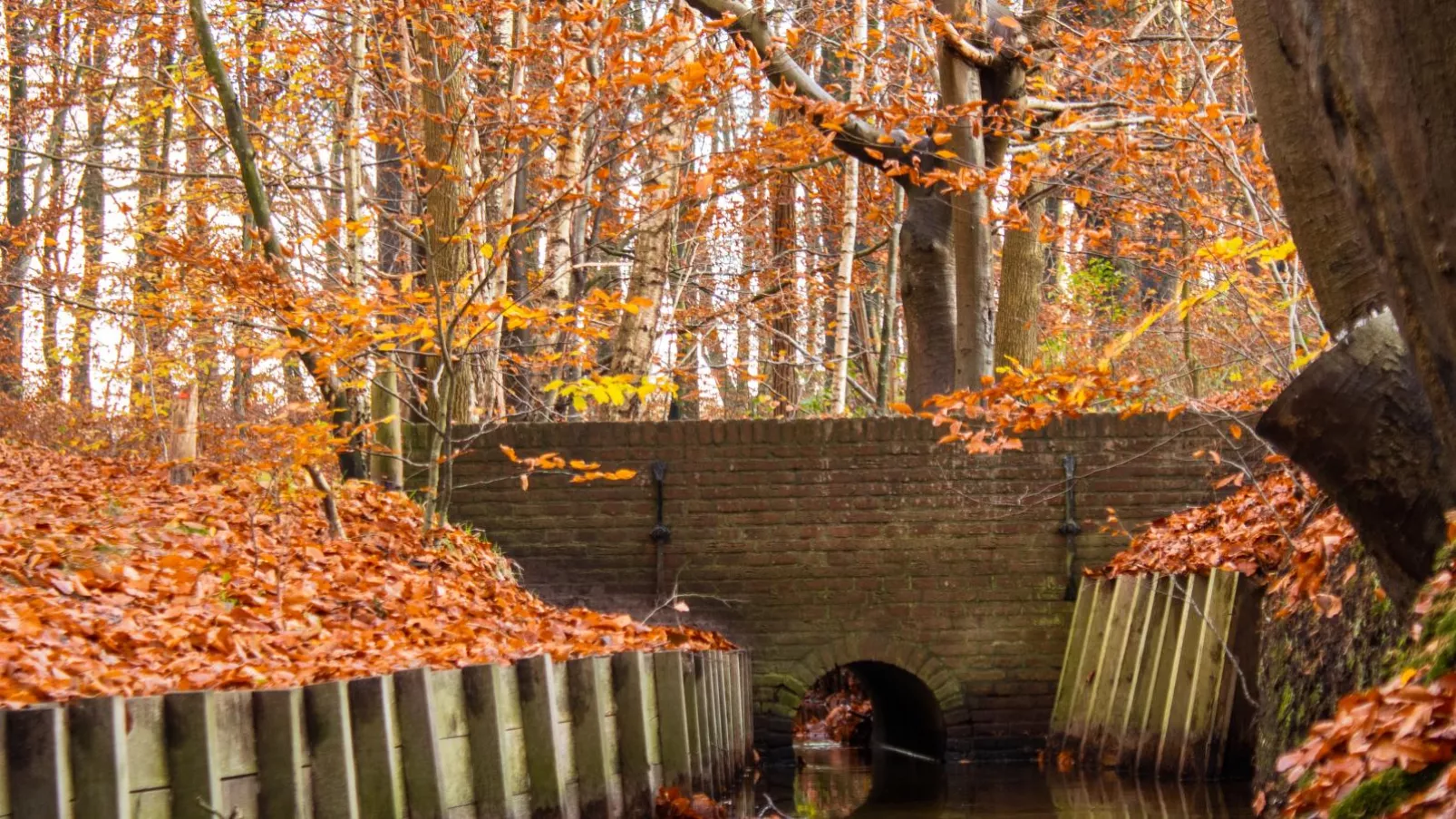 Vakantiehuis Haas-Areas summer 5km