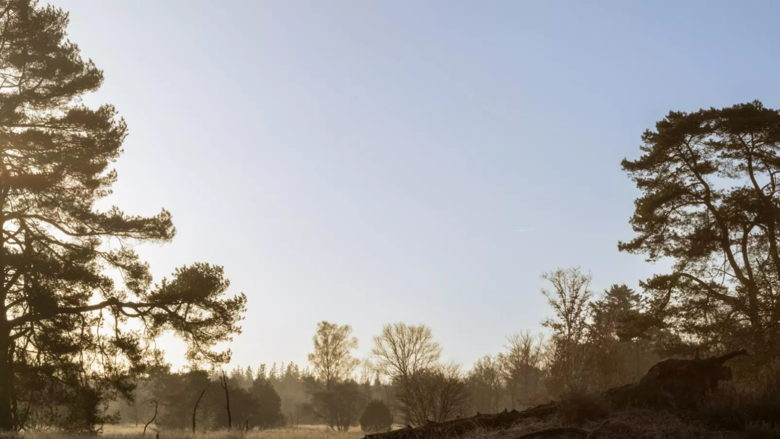 Vakantiehuis Vos-Gebiete Sommer 5 km