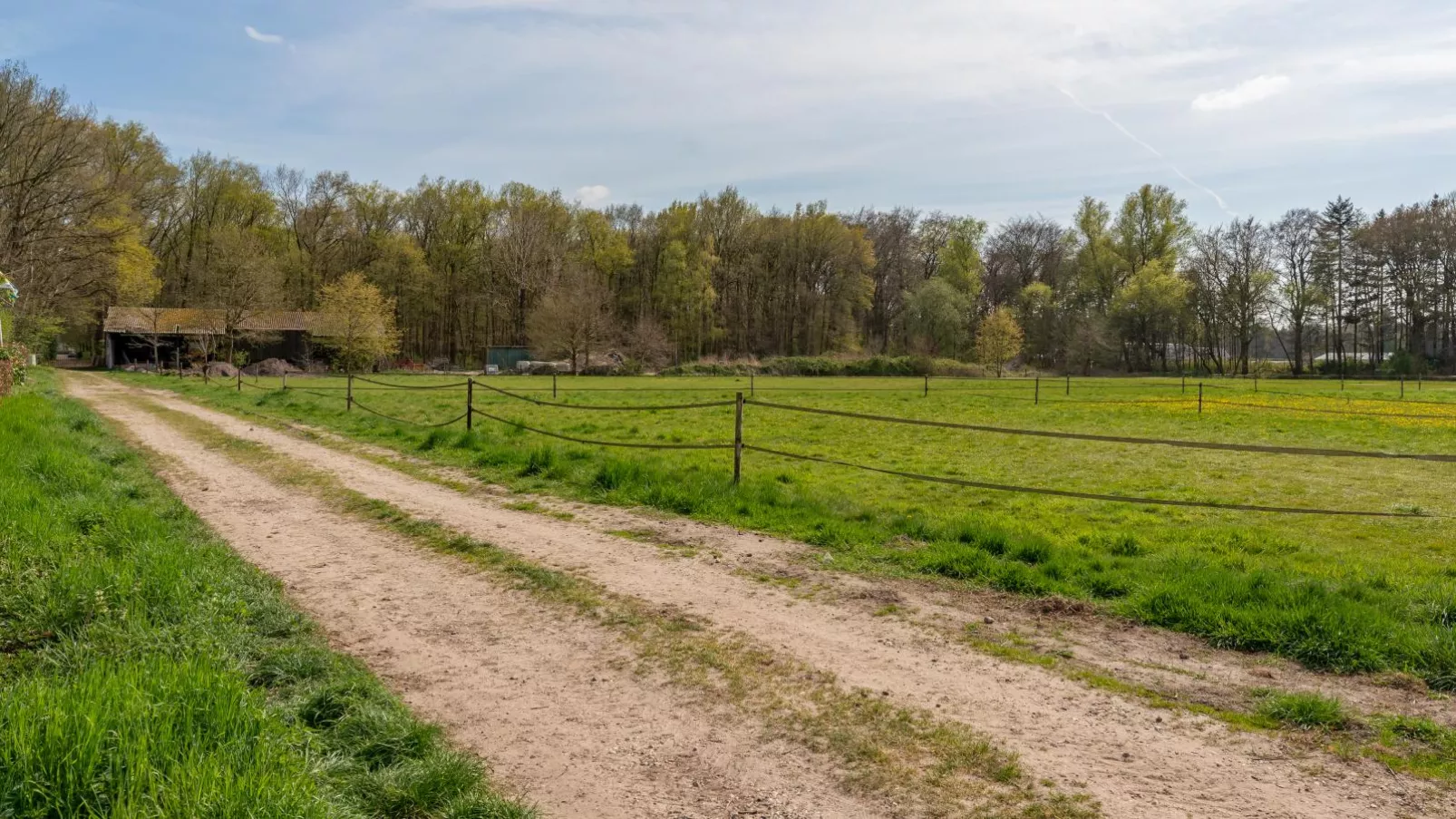 Vakantiehuis Vos-Gebiete Sommer 1 km