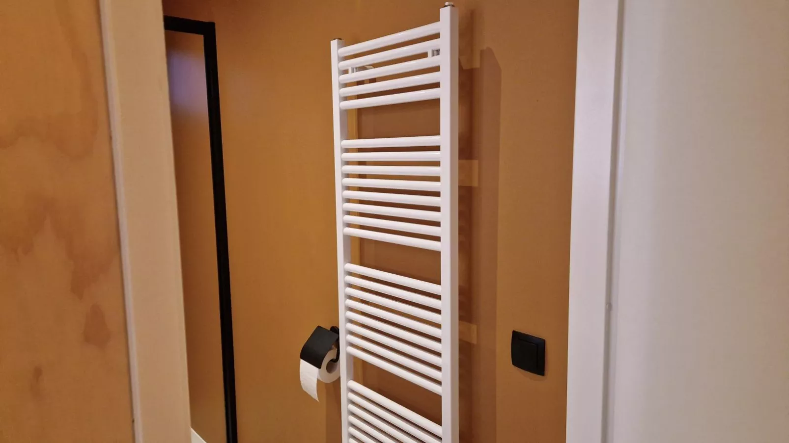 TED Tiny House-Bathroom