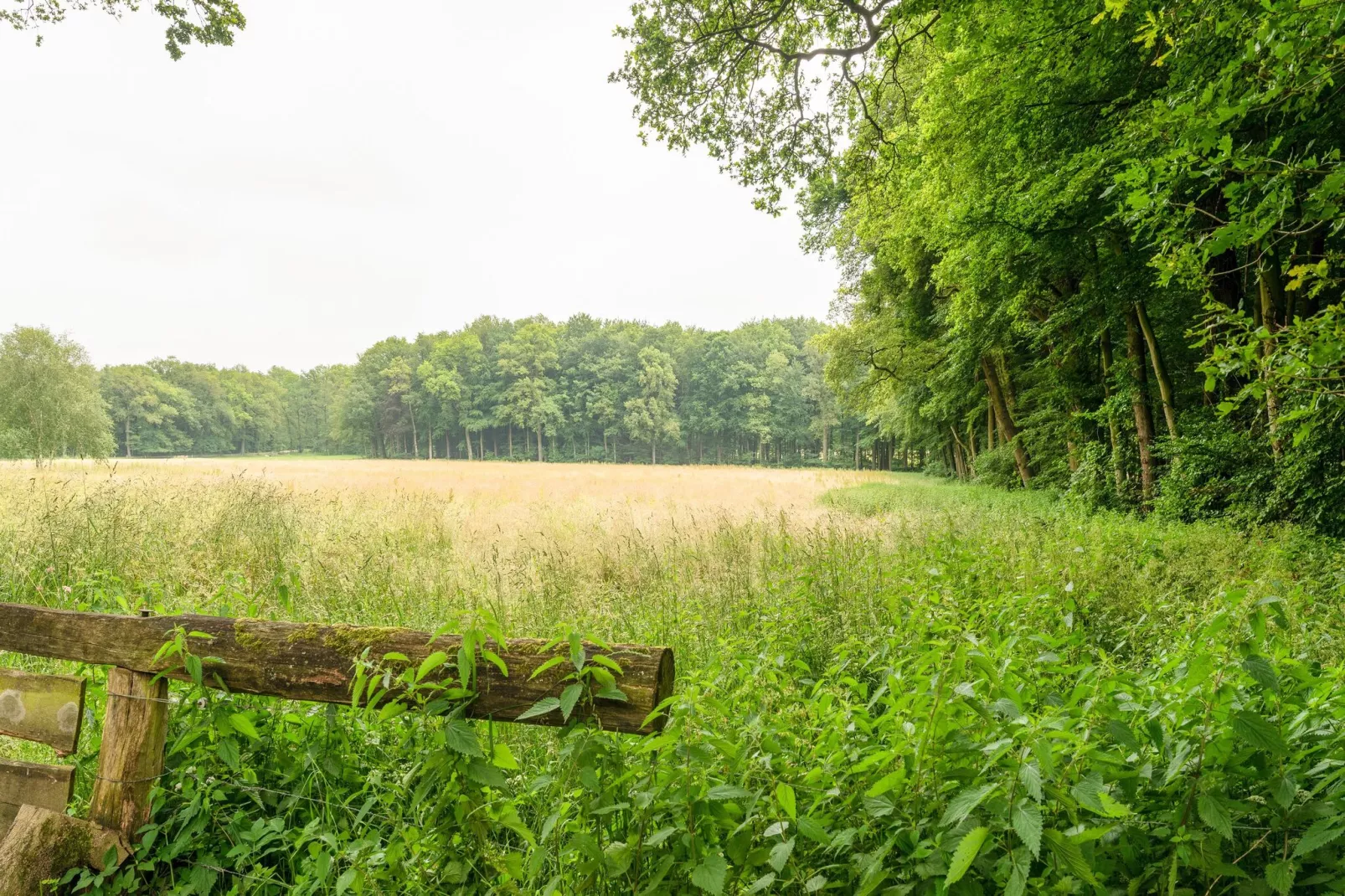 De Engelse tuin van Oldenzaal-View summer