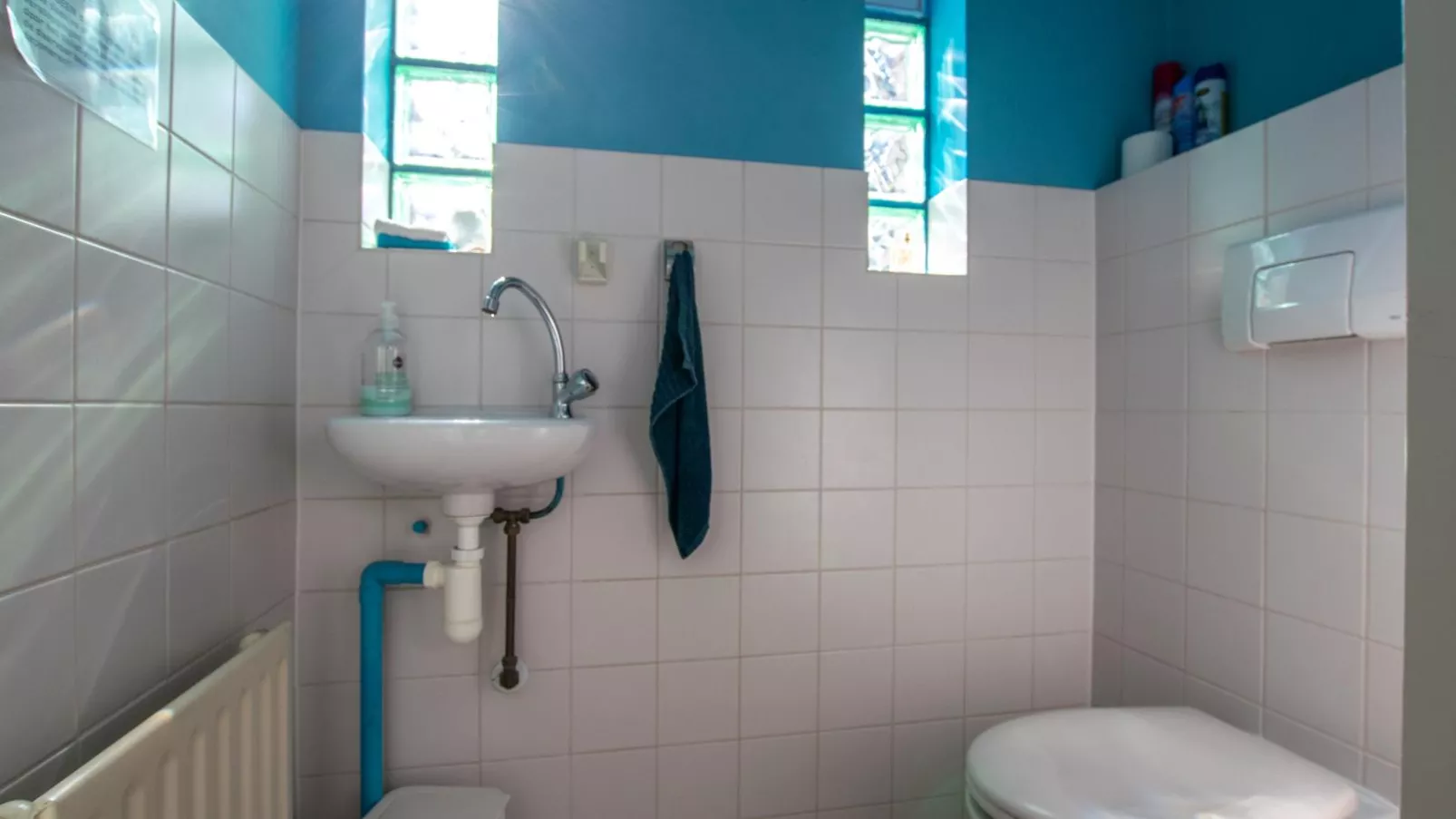 De Spannevogel-Bathroom
