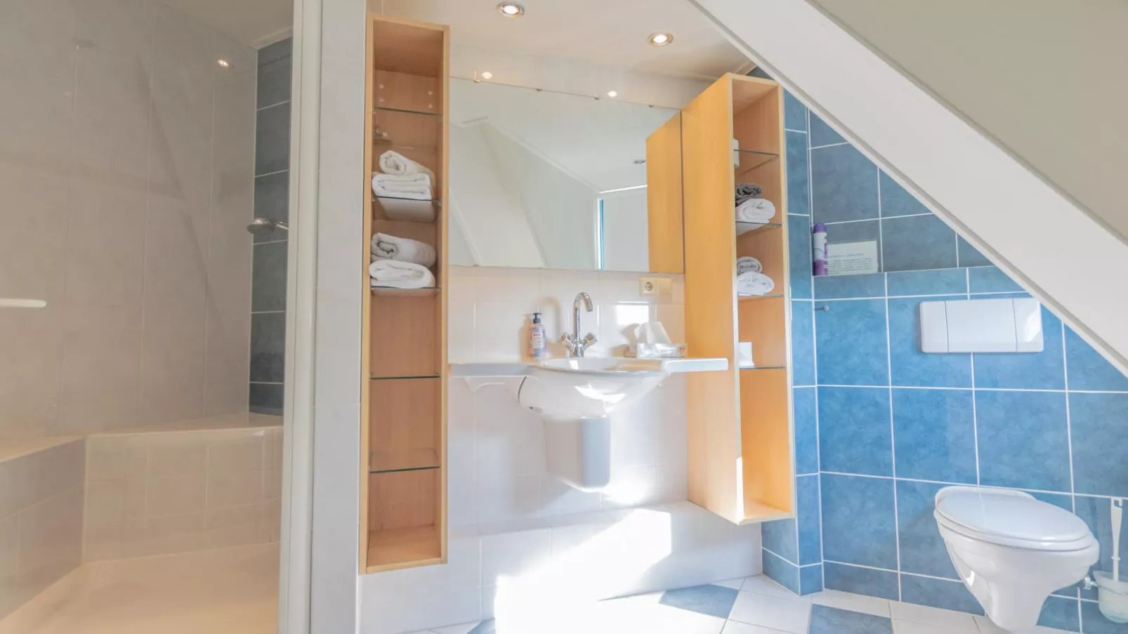 De Spannevogel-Bathroom