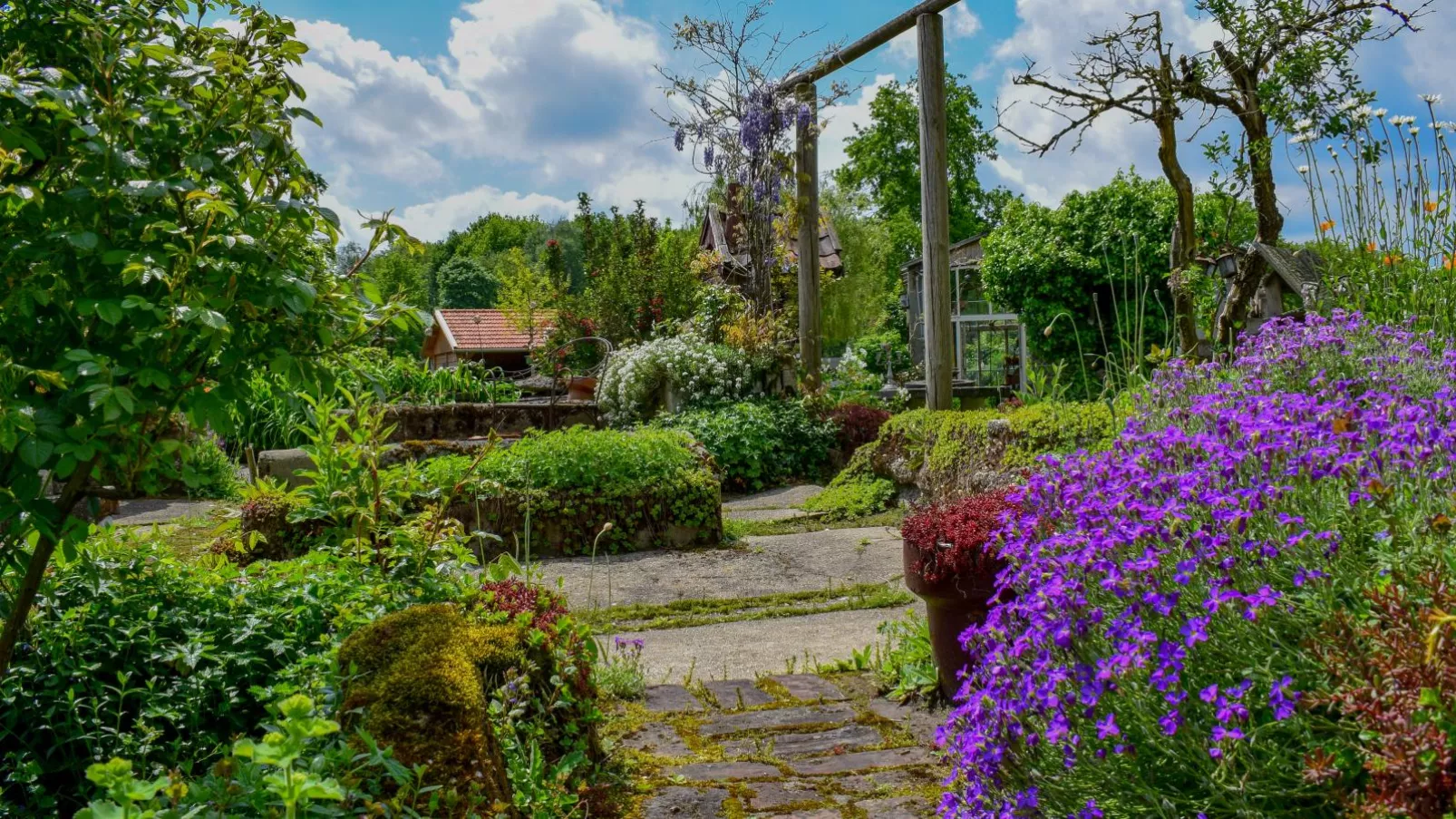 Atelier Roza-Gardens summer