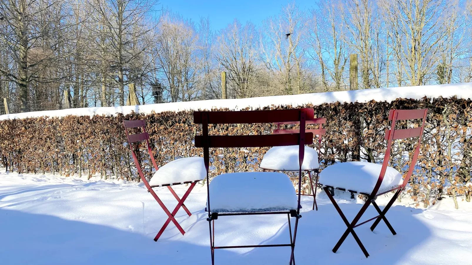 Pipowagen het Oventje-Terrace balcony