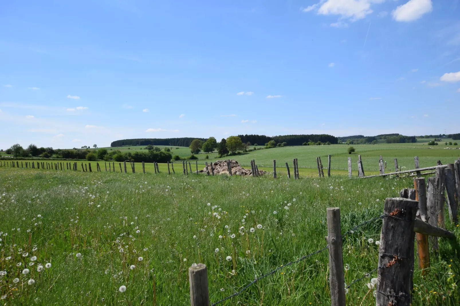 A la Clairette-Gebiete Sommer 1 km