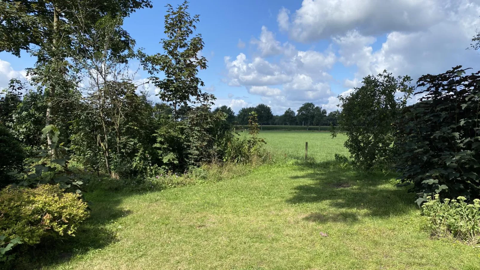 De Meerenhoeve-Gardens summer