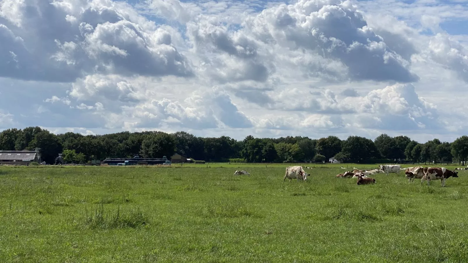 De Meerenhoeve-View summer