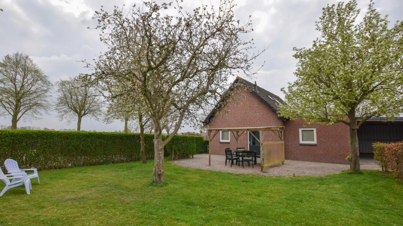 Alpacafarm Vorstenbosch-Exterior summer