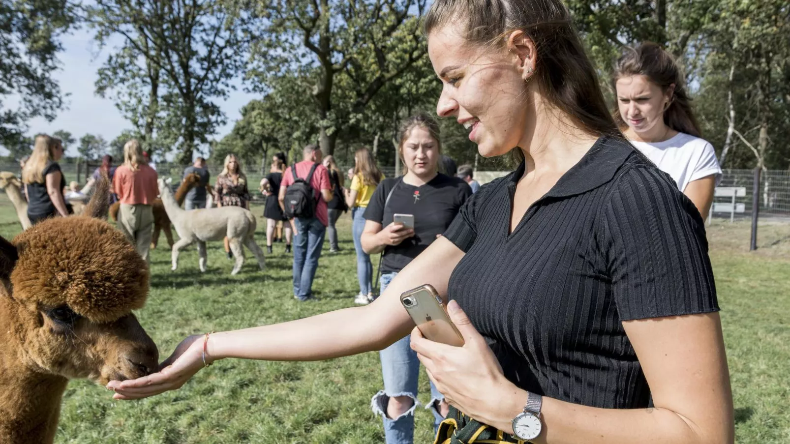 Alpacafarm Vorstenbosch-Atmosphere