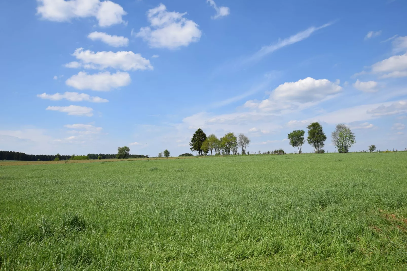 A la Clairette-Gebiete Sommer 5 km