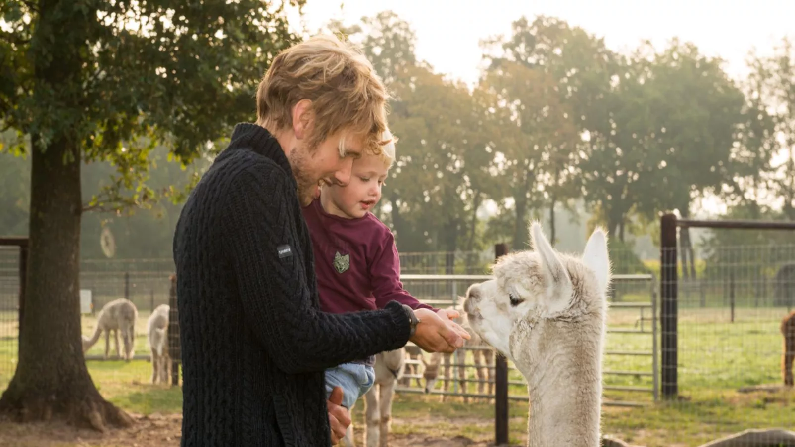 Alpacafarm Vorstenbosch-Atmosphere