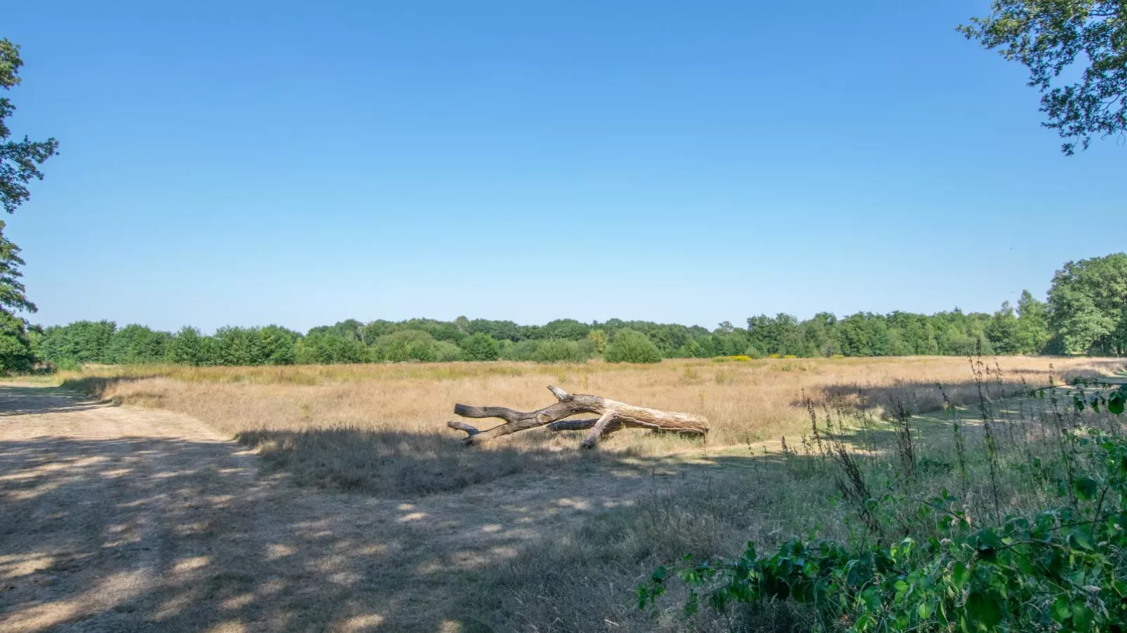 Berghuisje-Areas summer 5km