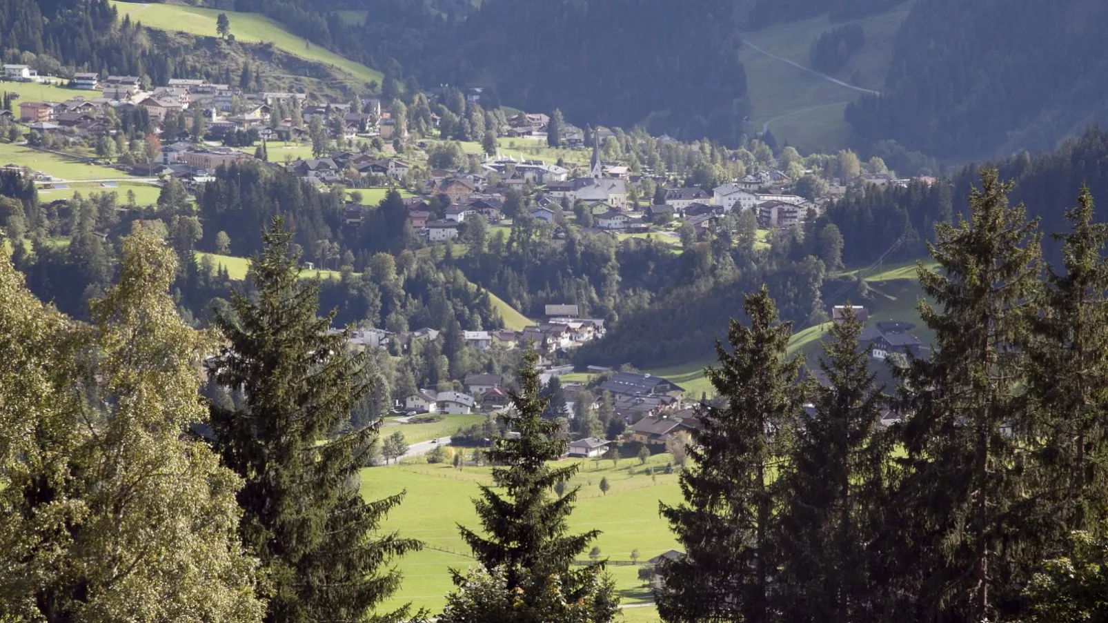 Schüttbach-Areas summer 5km