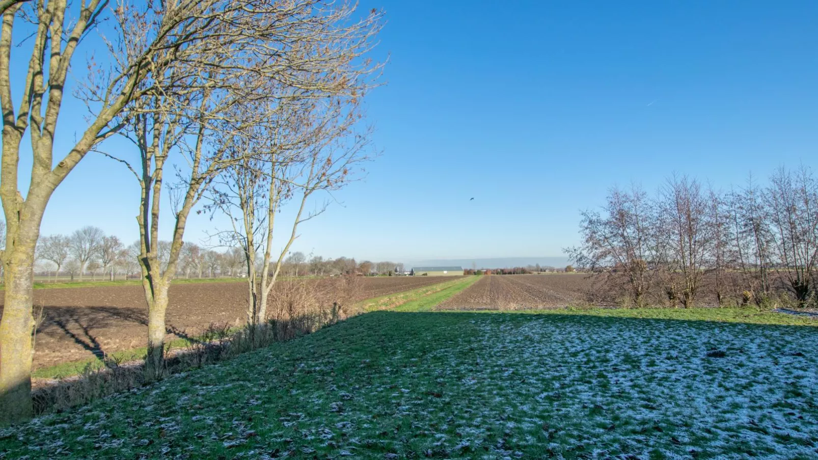 viewwinter