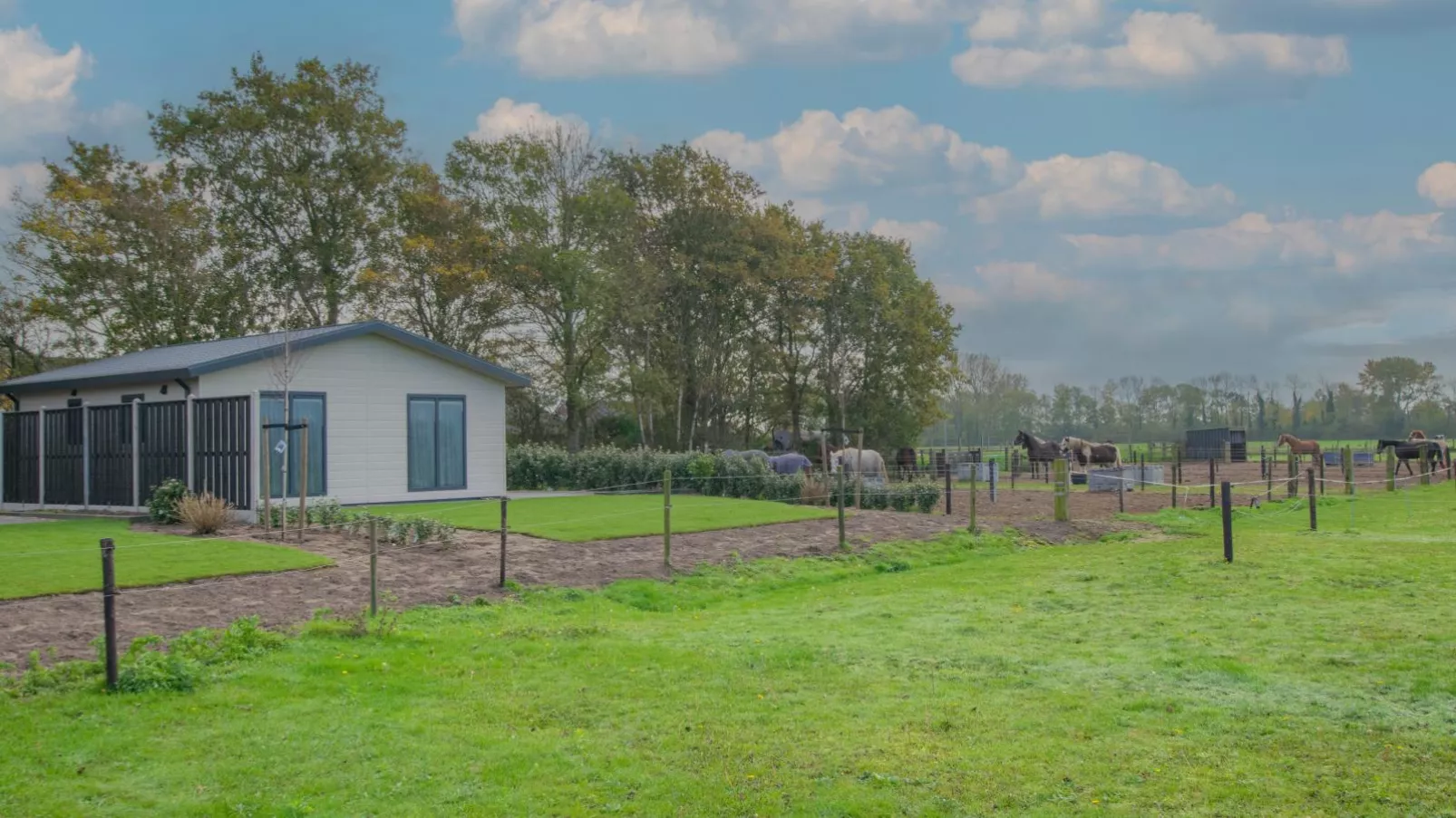 De Huismus-Exterior summer