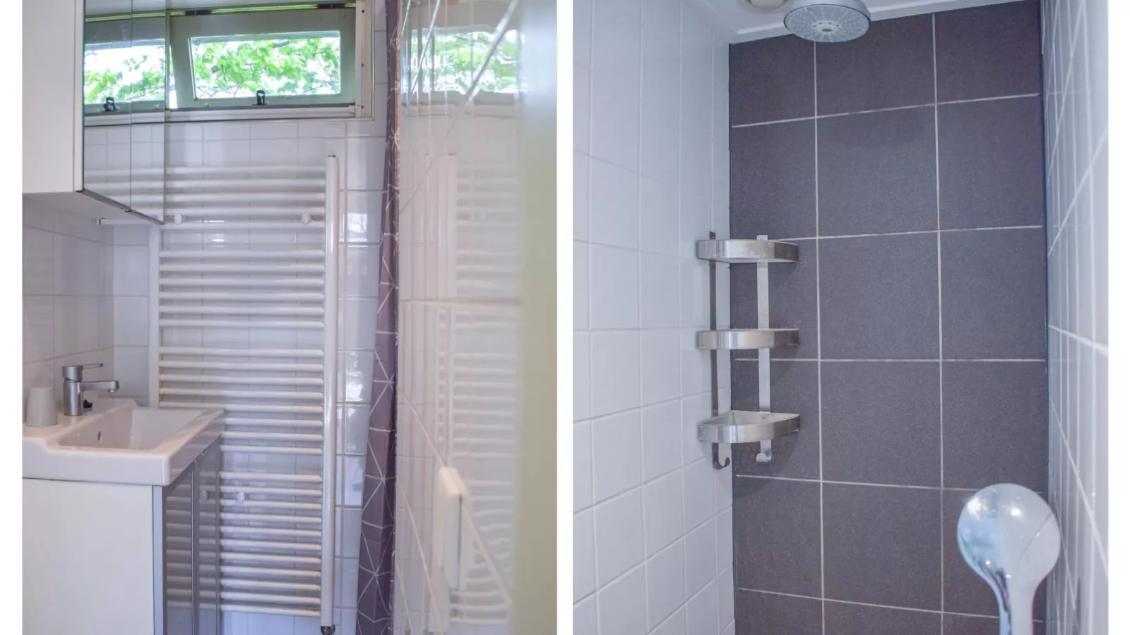 De IJsvogel-Bathroom