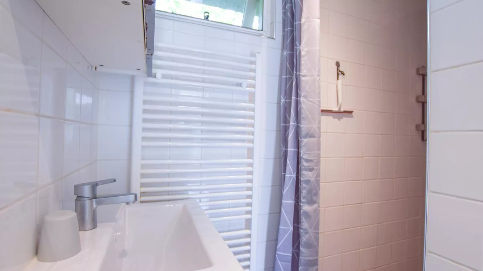 De IJsvogel-Bathroom