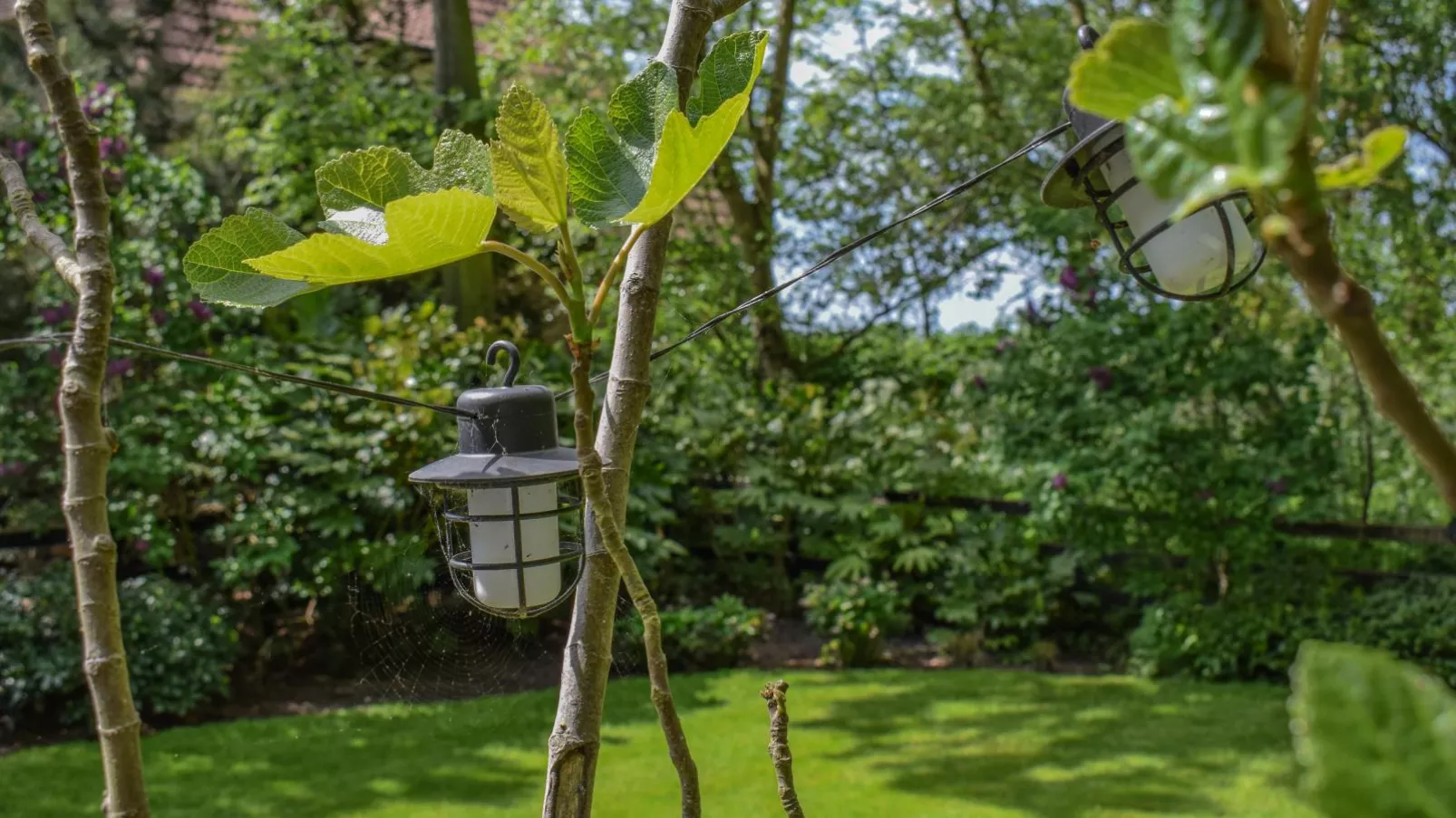 De IJsvogel-Gardens summer