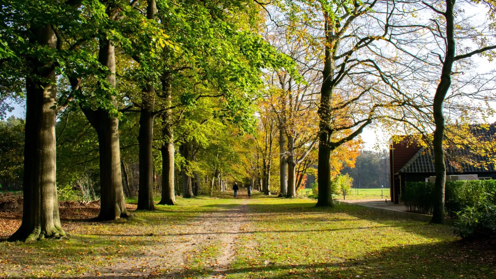 Landhuis de Vos-Areas summer 1km