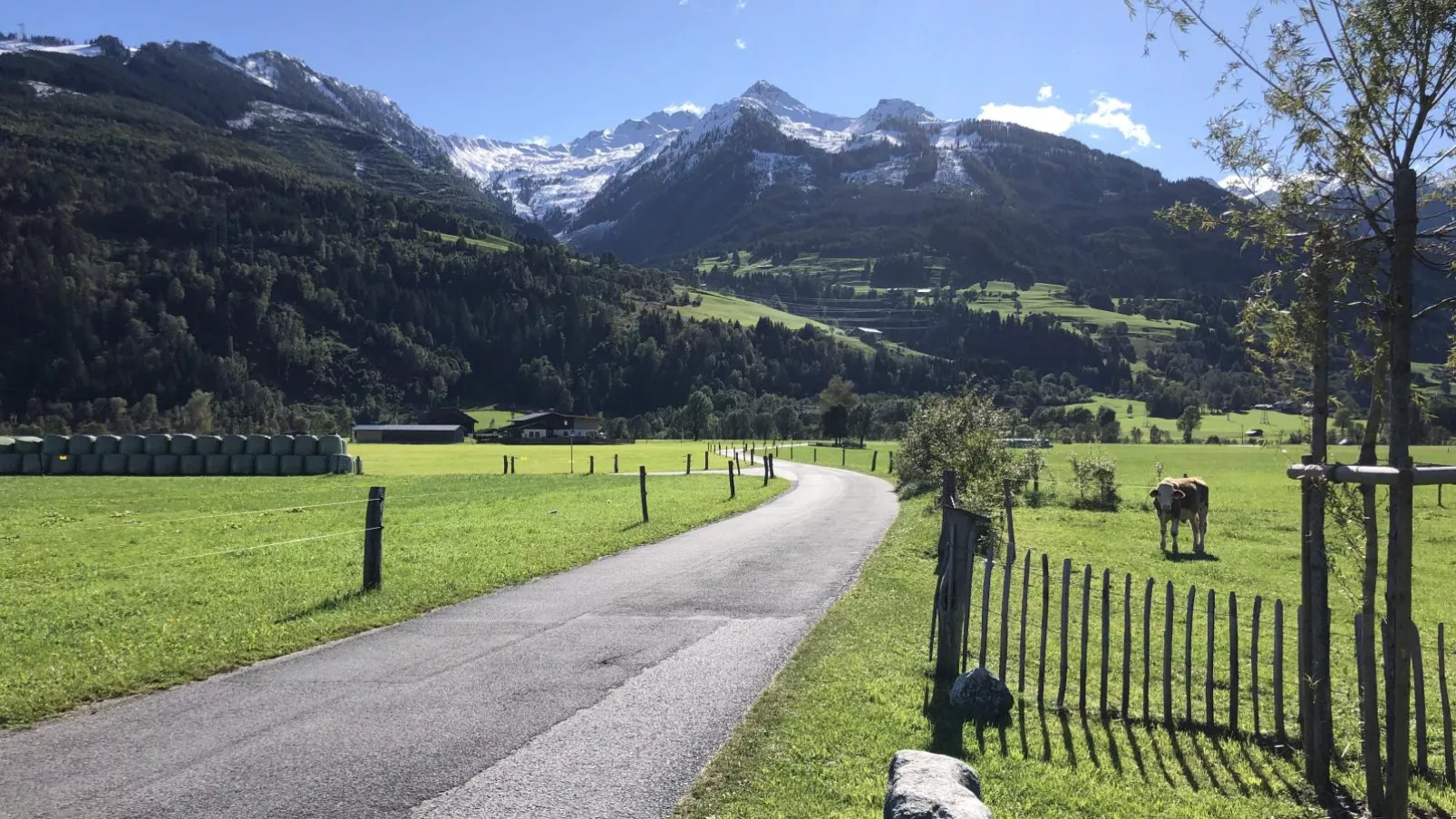 Sonnen Lodge Kaprun-View summer