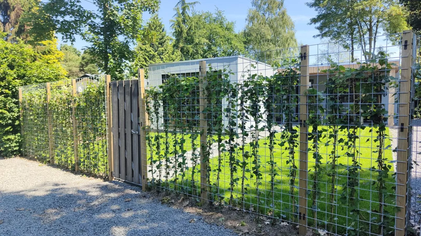 De Veluwse houtduif-Gardens summer