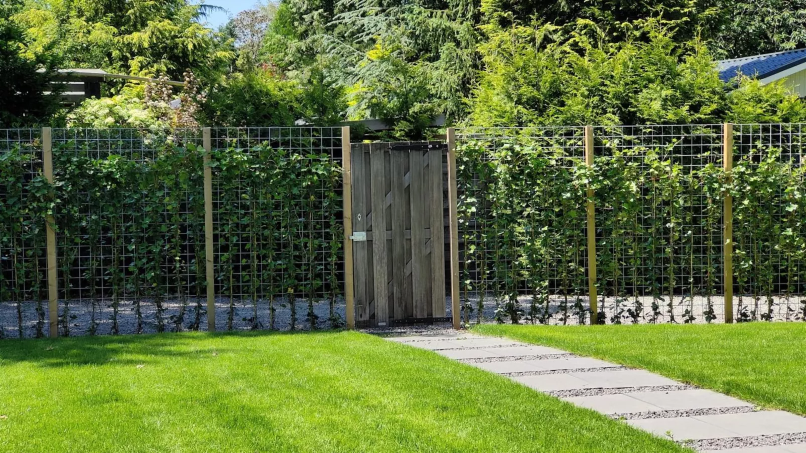 De Veluwse houtduif-Gardens summer