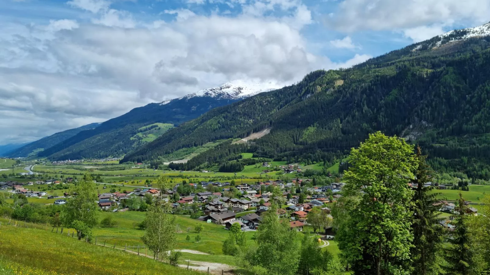 Kitzbüheler Alpen L-Areas summer 1km