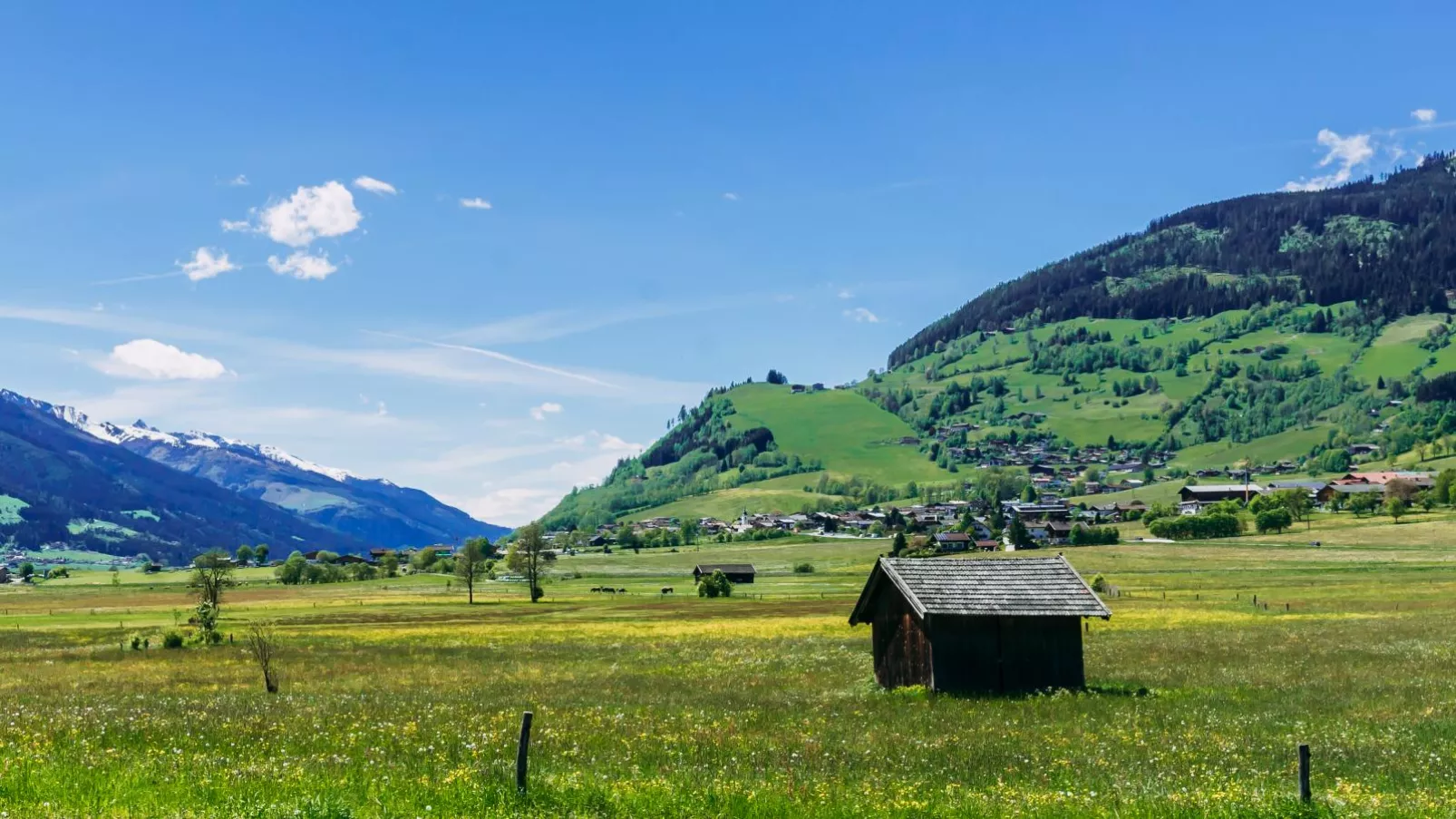 Tauern Lodge XL-Areas summer 5km