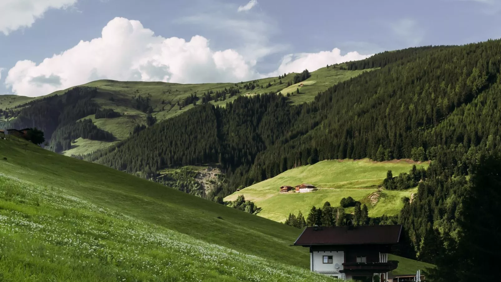 TOP 3 Sonnberg-Exterior summer