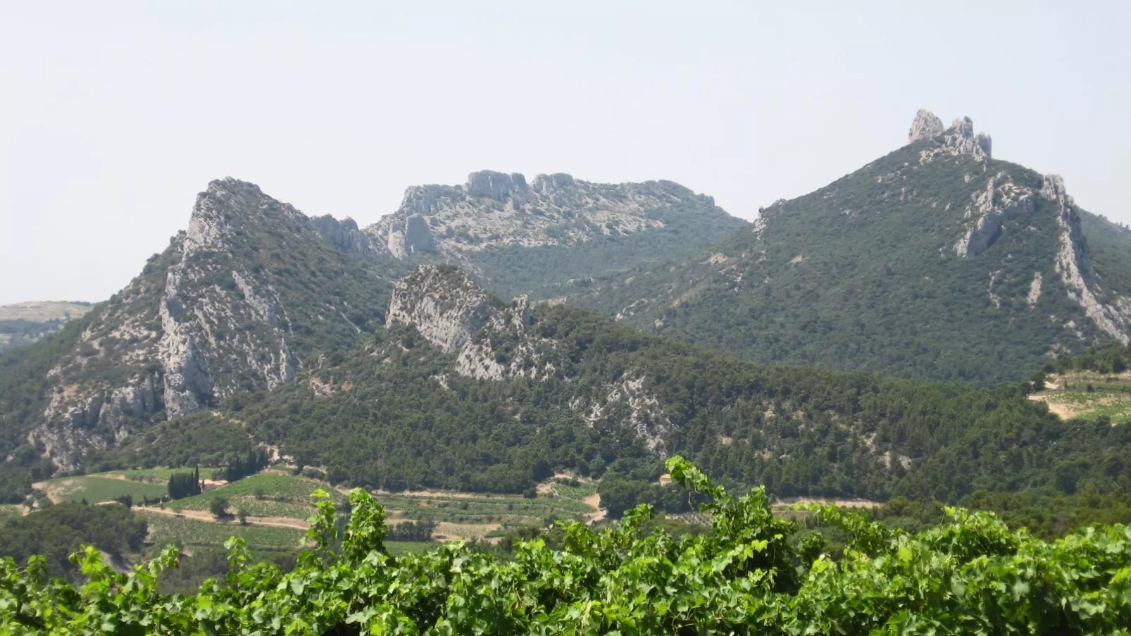 Tauleigne-Areas summer 20km