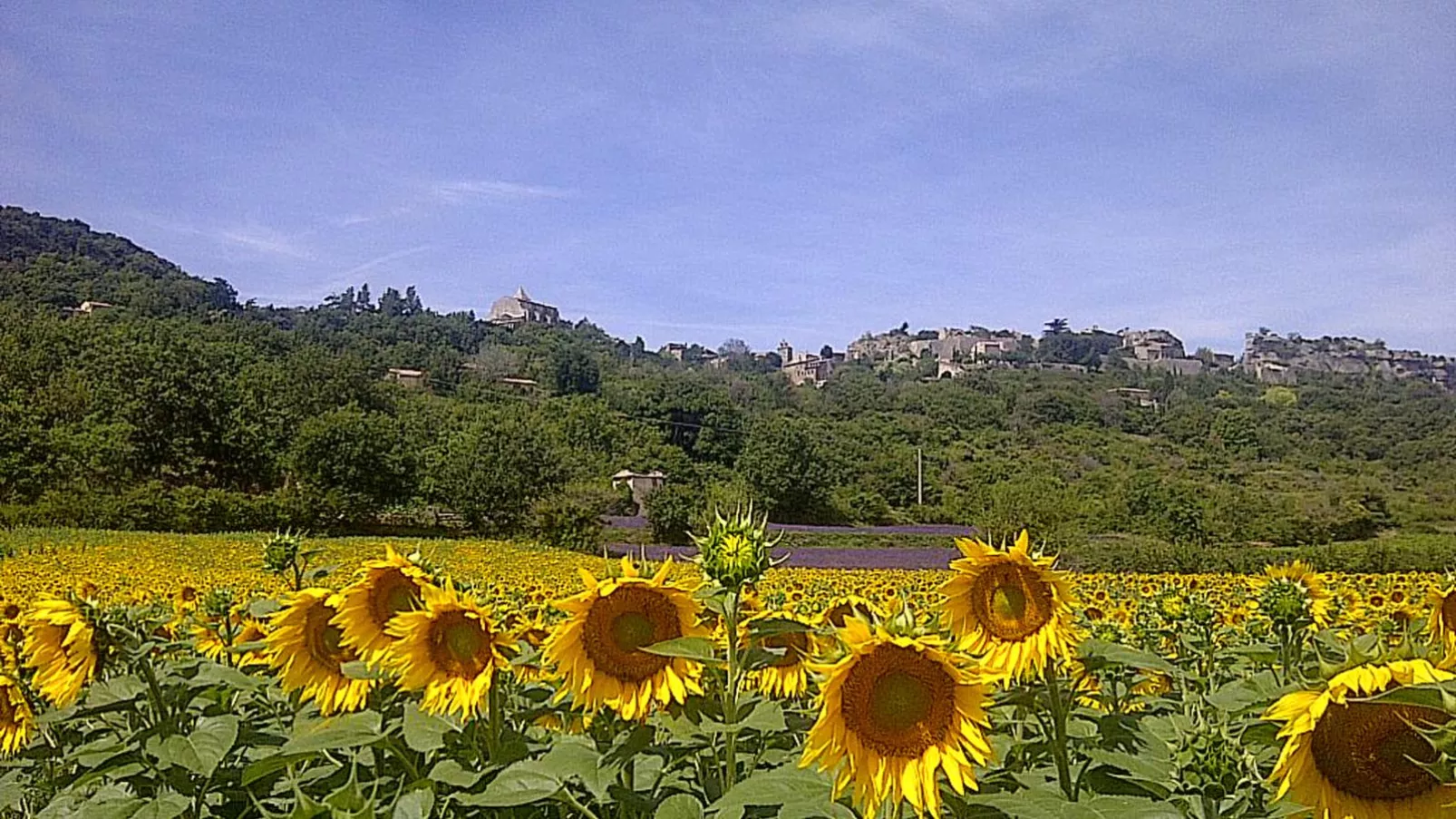 Villa Bellegarde-Areas summer 1km
