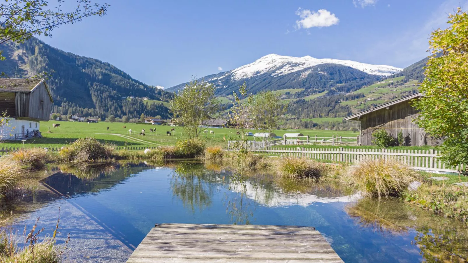 Landhaus Schiedhof-Gärten Sommer