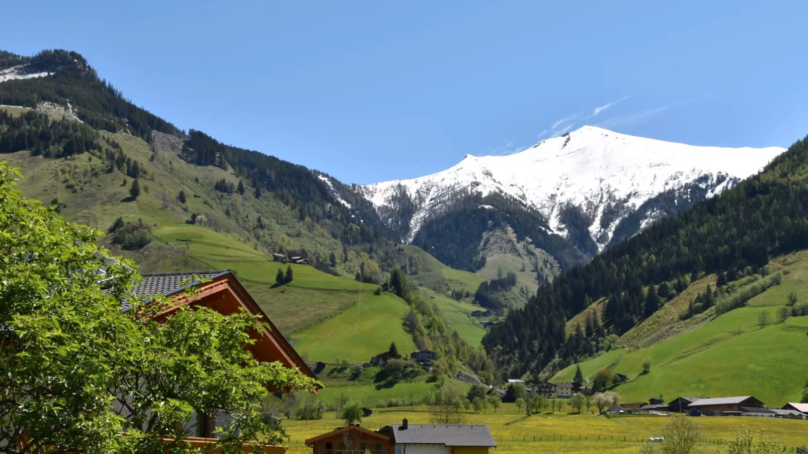 Traunerfeld-View summer