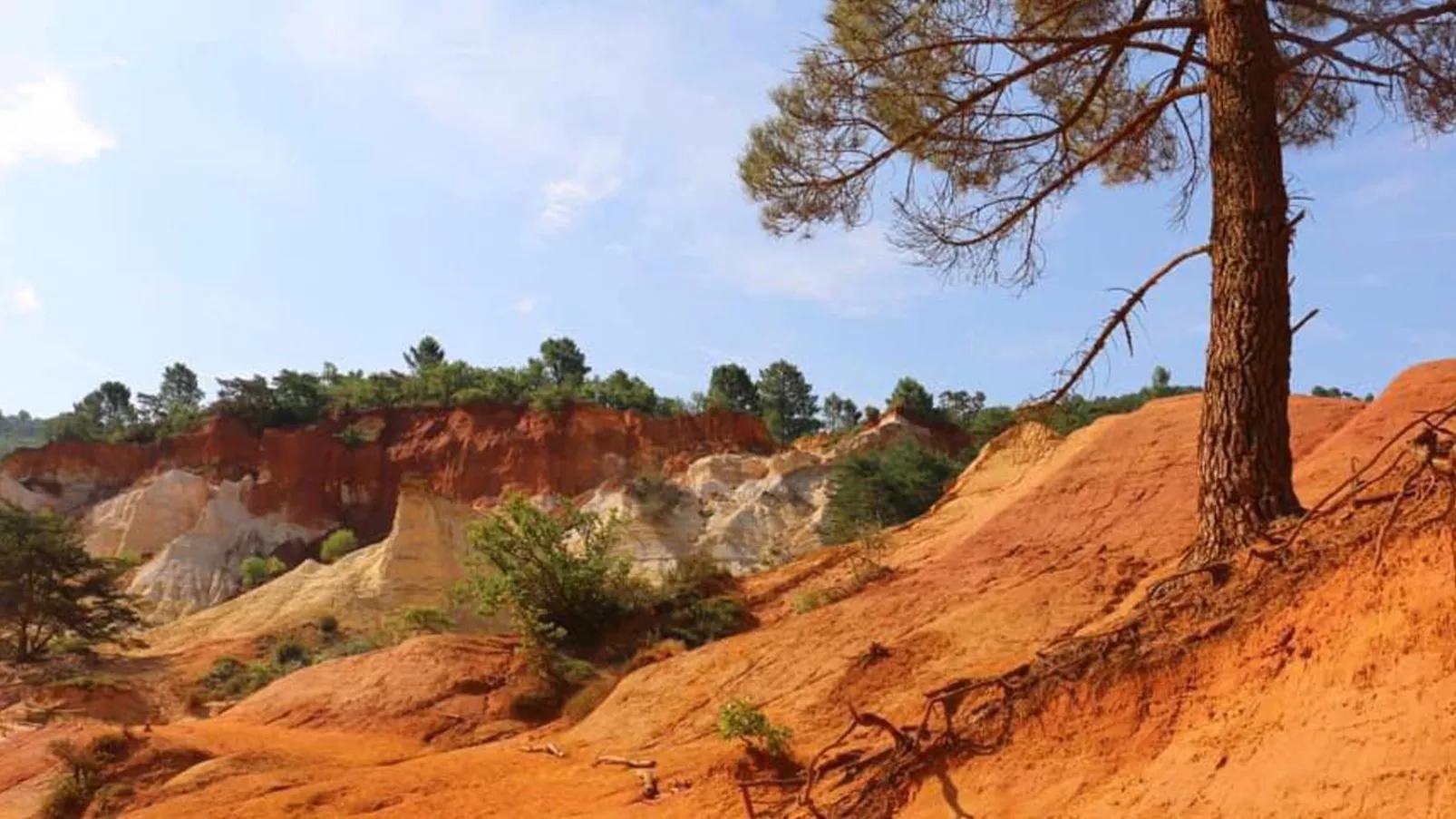 Petits Abayers-Areas summer 5km