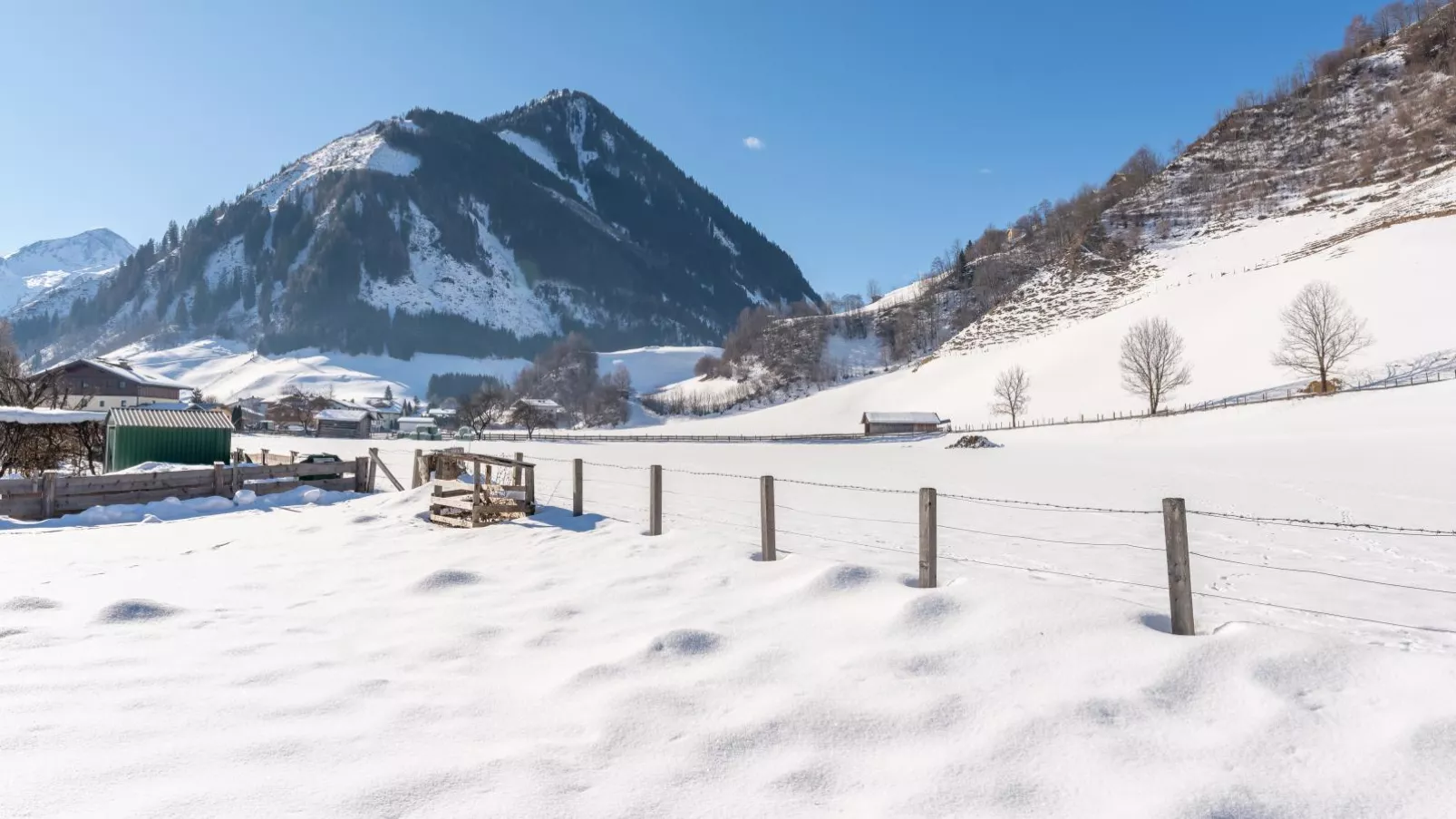 Traunerfeld-View winter