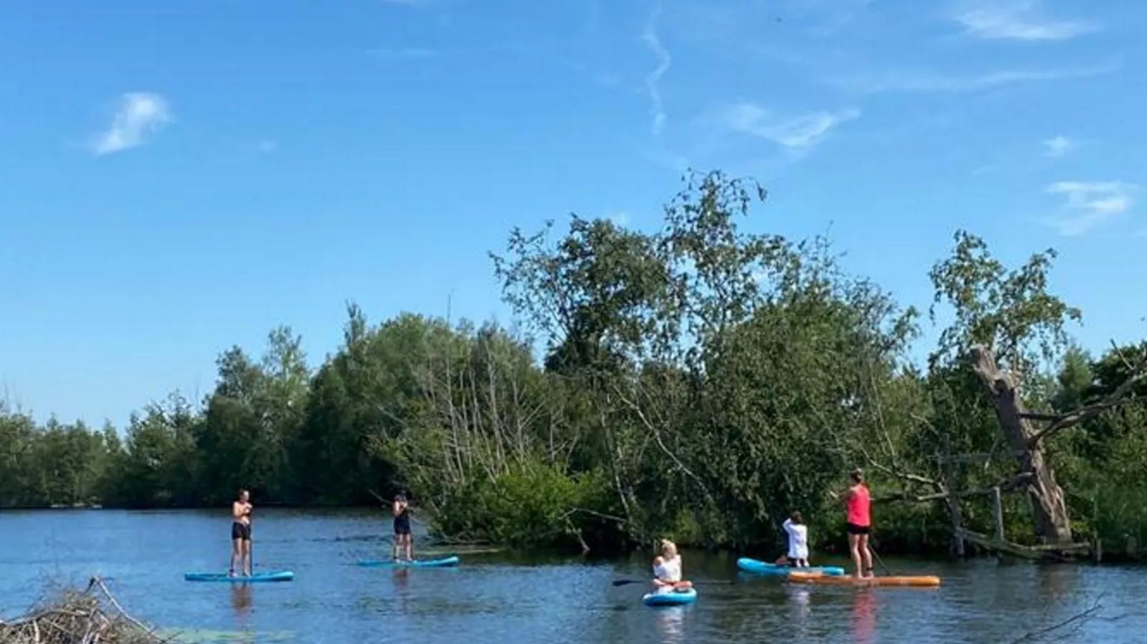Blauwborst 24-24-Areas summer 1km