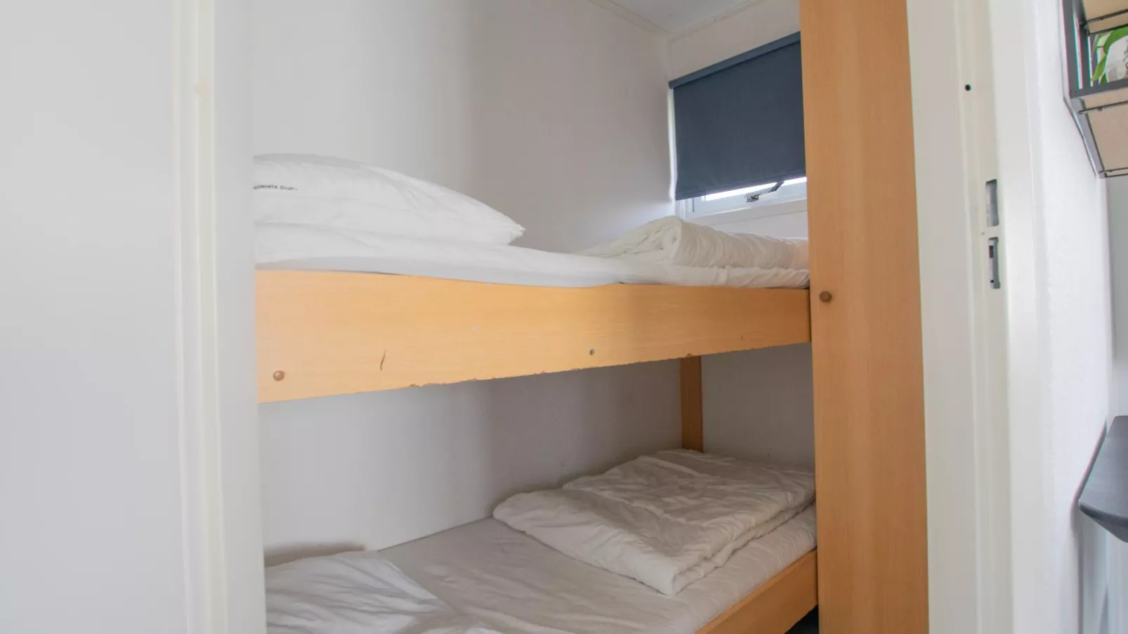Blauwborst 24-18-Chambre