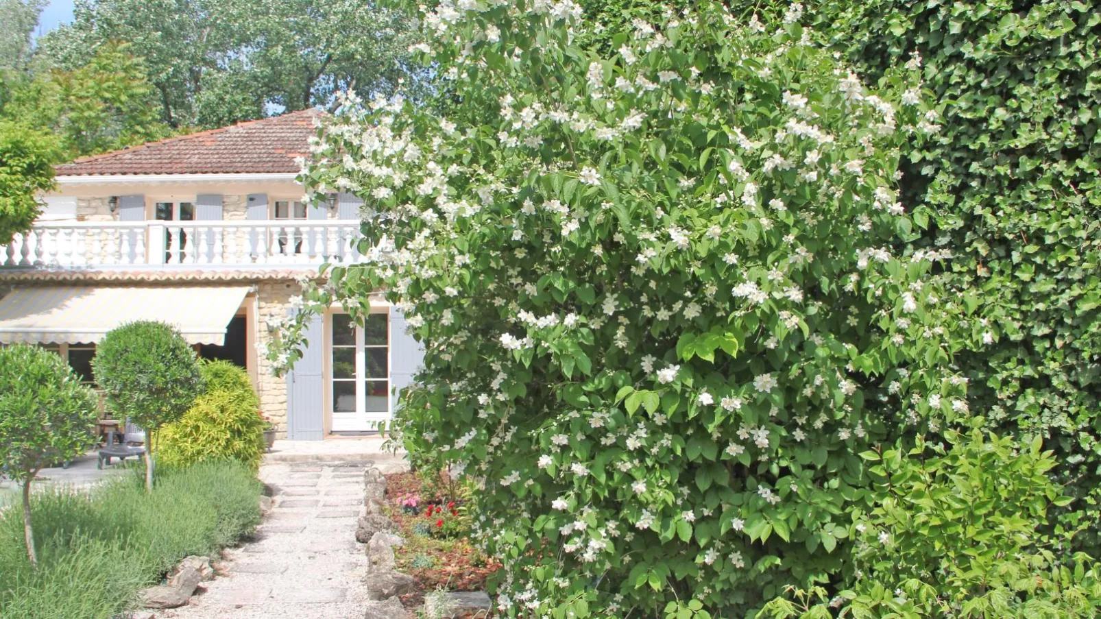 gardensummer