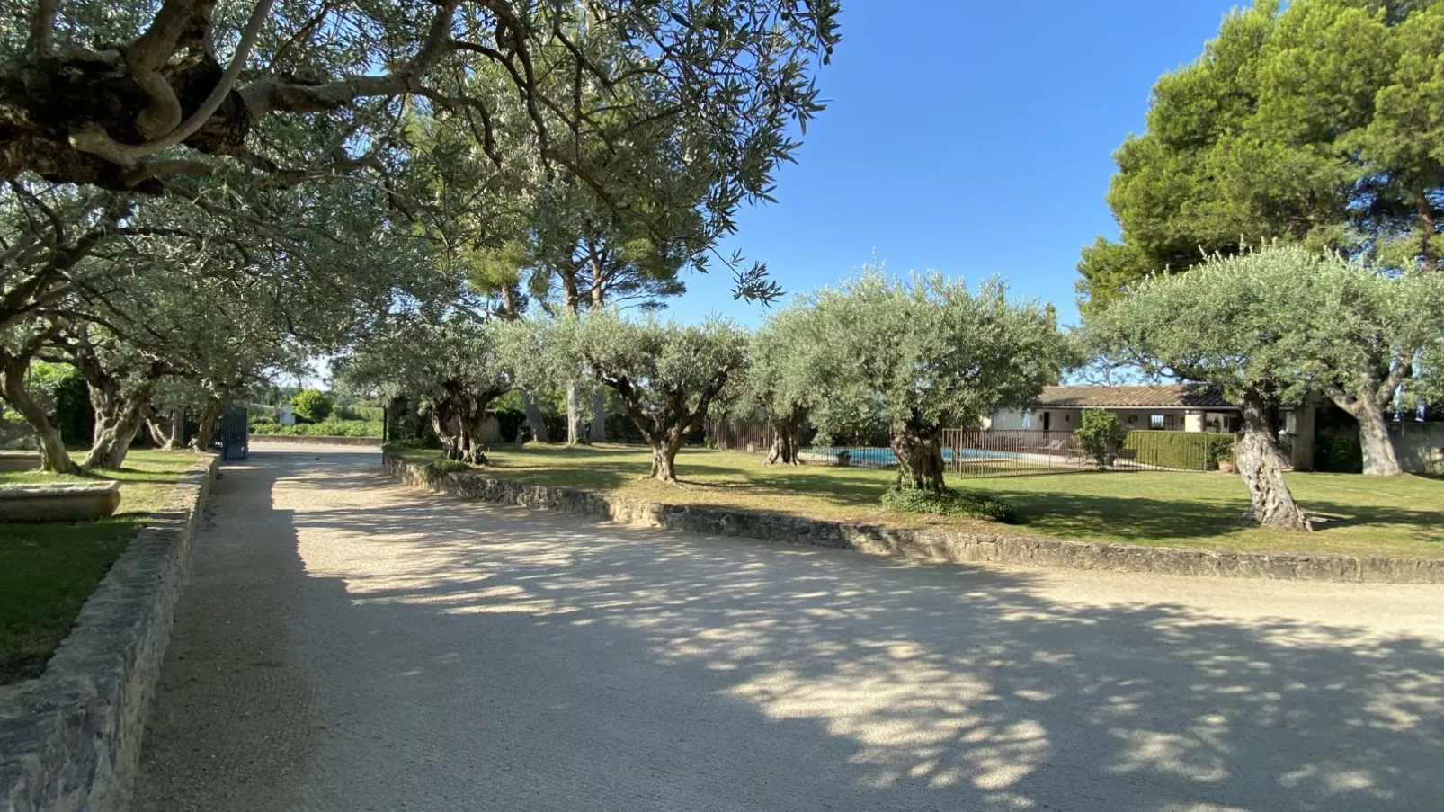 Le Mas Romarin-Gardens summer