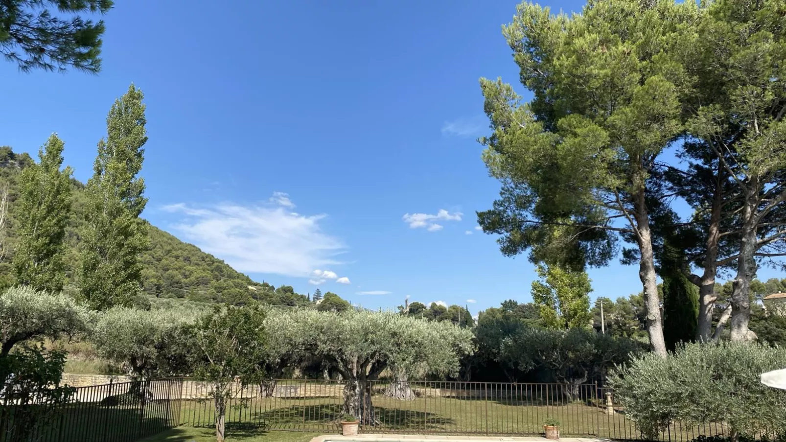 Le Mas Romarin-View summer