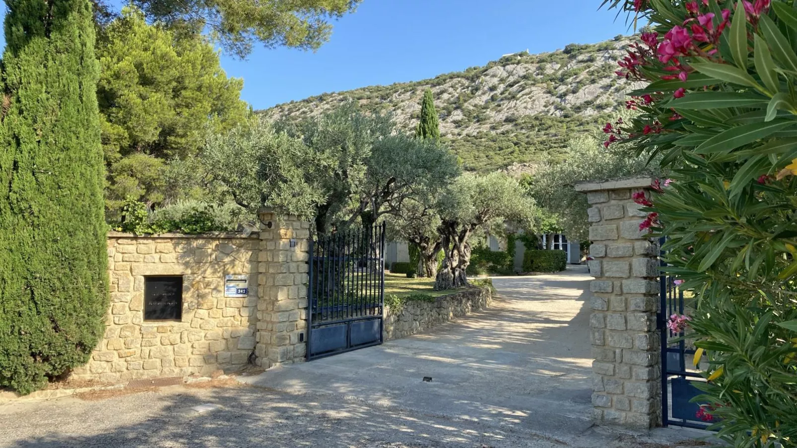 Le Mas Romarin-Gardens summer
