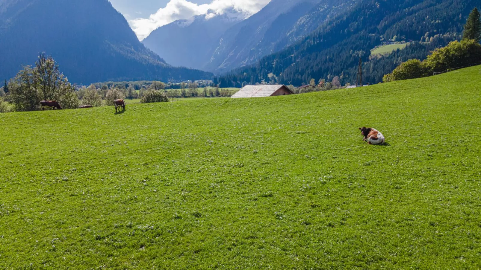 Landhaus Hotter 26-Aussicht Sommer