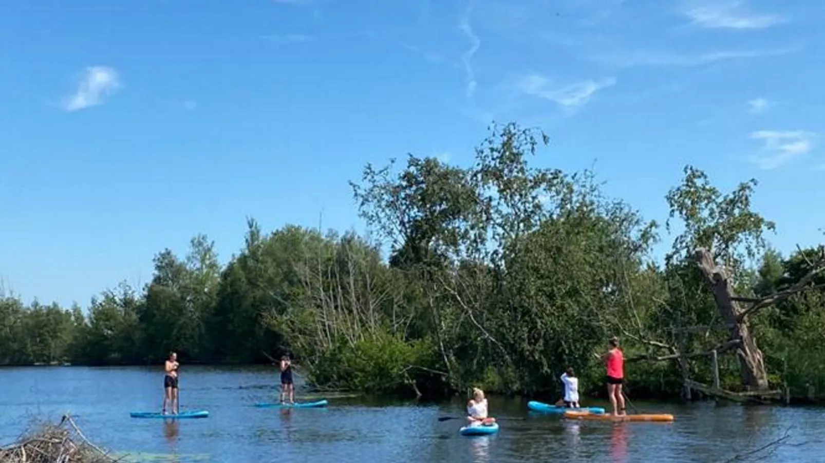 Grote Karekiet 24-22-Gebiete Sommer 1 km