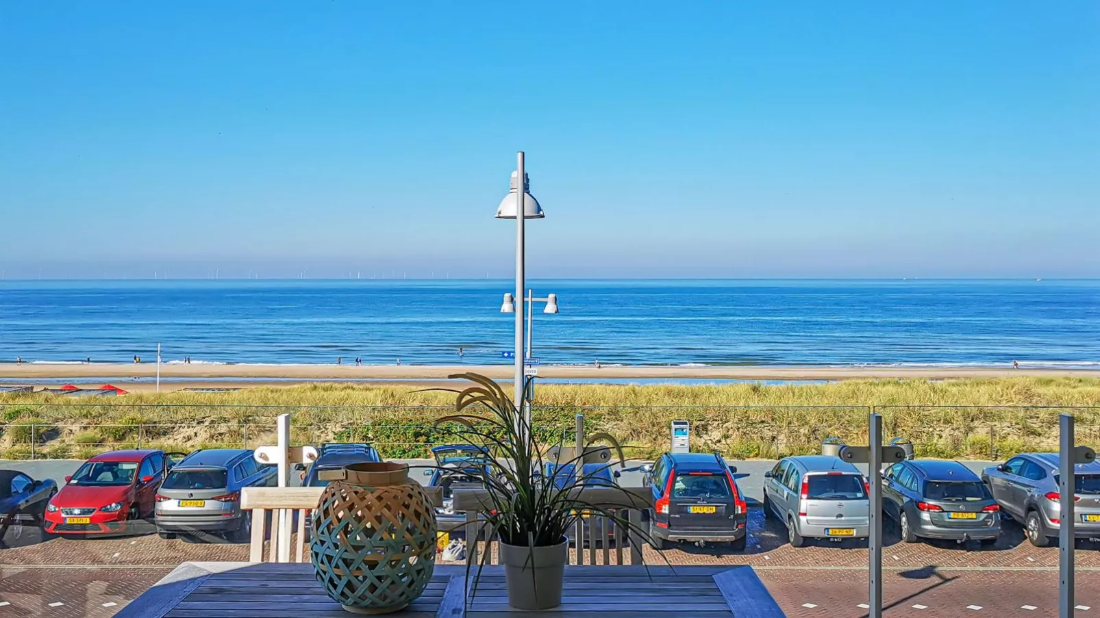 Krab aan Zee-View summer
