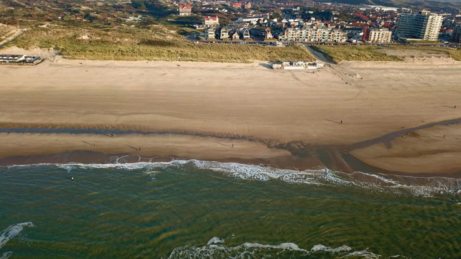 Krab aan Zee-Areas summer 1km