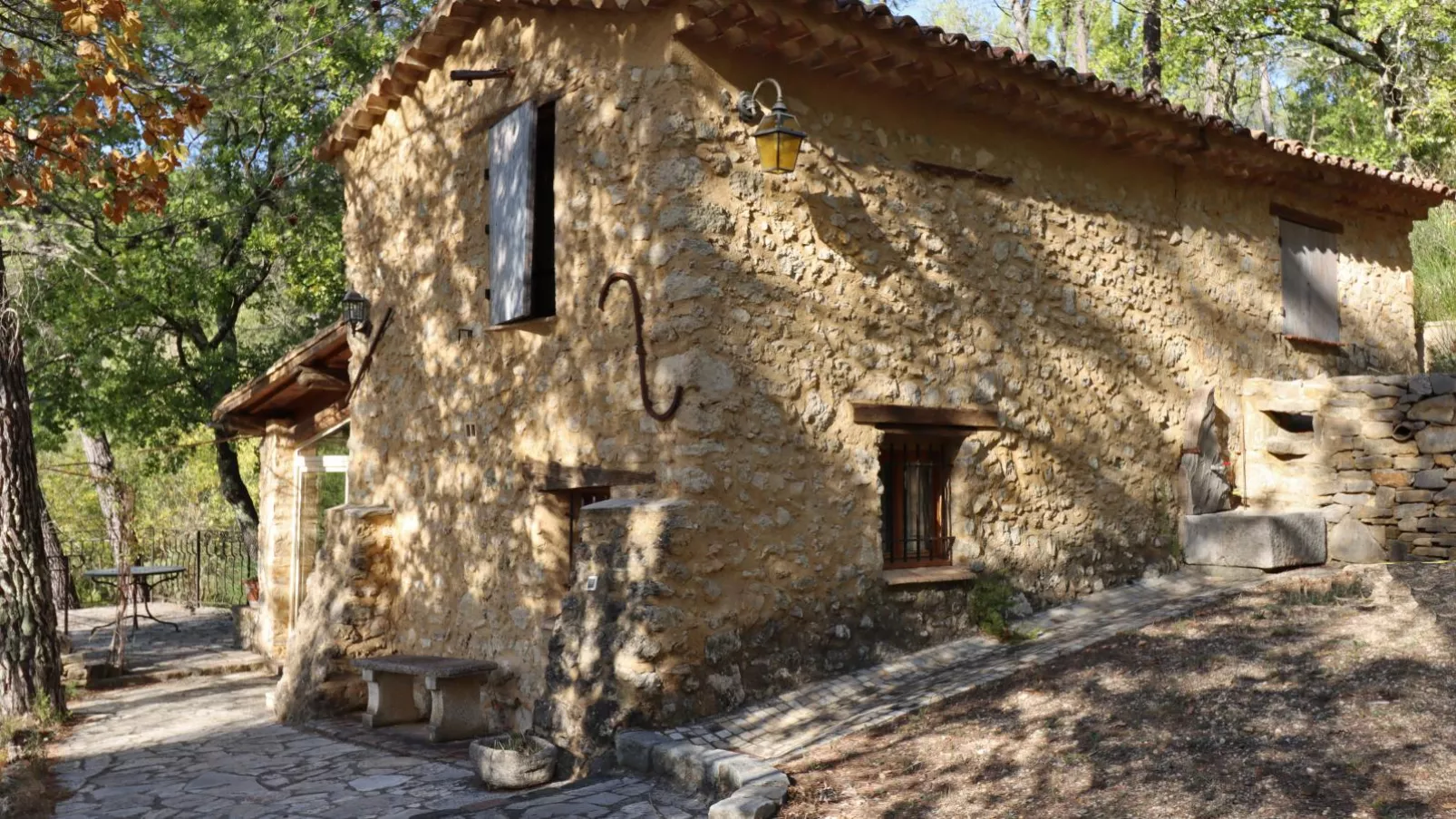 Orchidée-Exterior in summer
