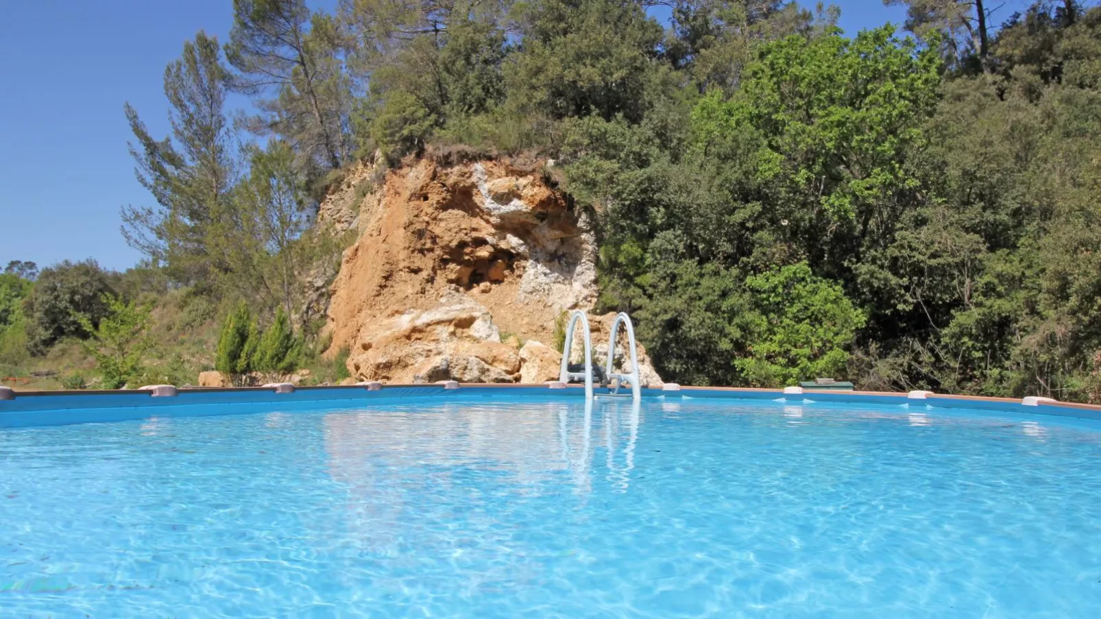 Orchidée-Swimming pool