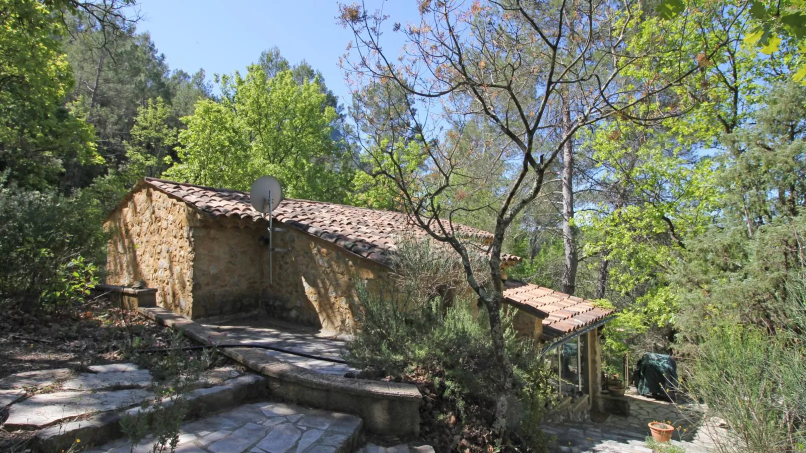 Orchidée-Exterior in summer